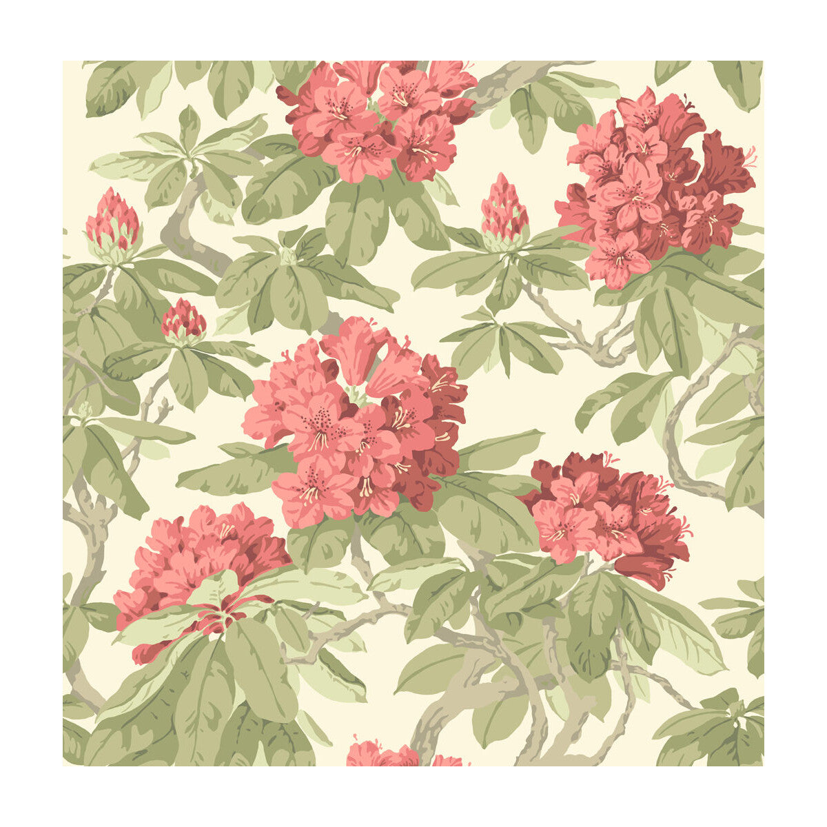 99/4020-CS BOURLIE Coral Cole & Son Wallpaper