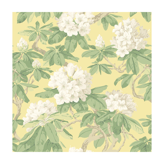 99/4021-CS BOURLIE Pale Lemon Cole & Son Wallpaper