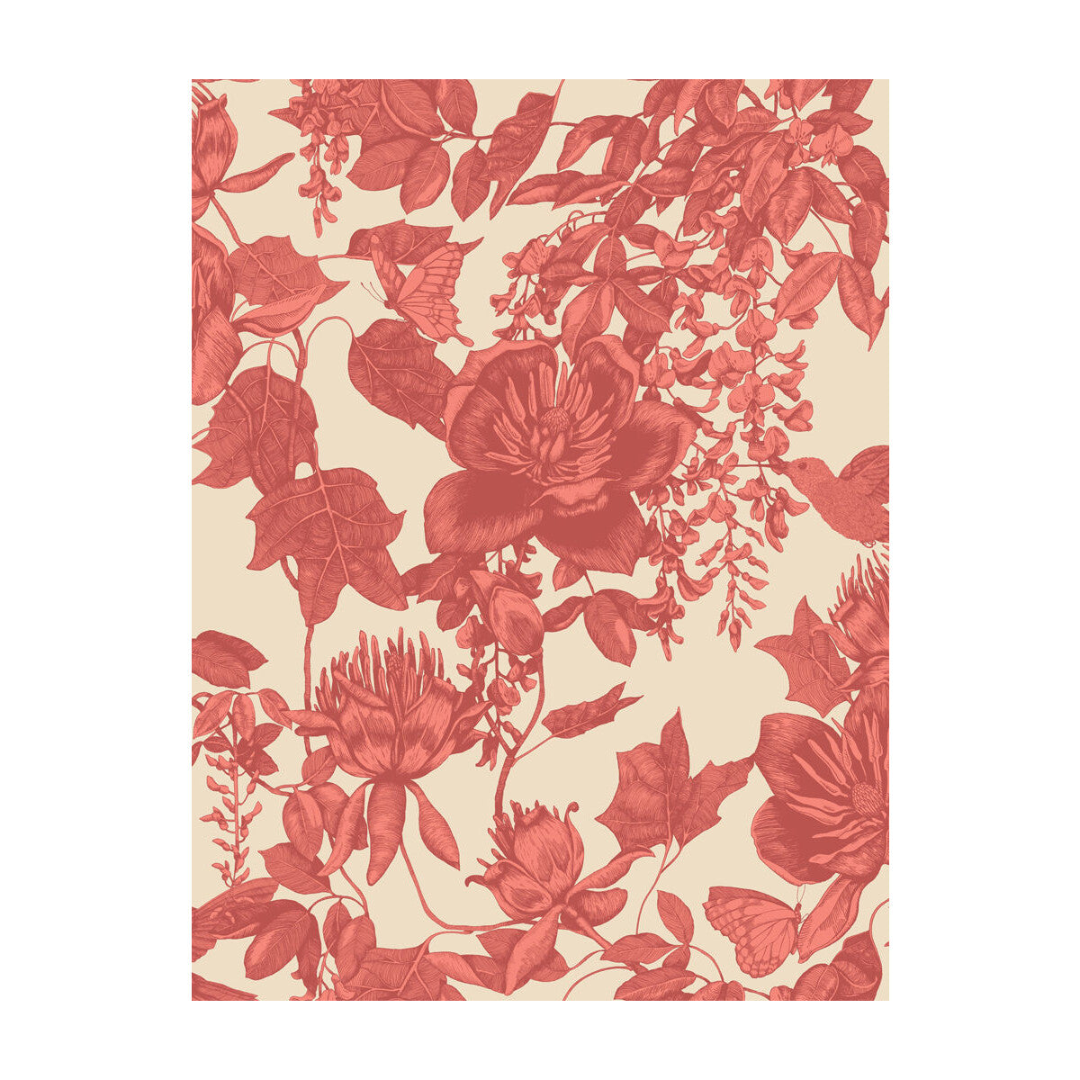 99/7033-CS TIVOLI Coral Cole & Son Wallpaper