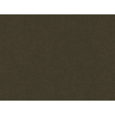 ABILENE-66 ABILENE STALLION KRAVET CONTRACT UPHOLSTERY