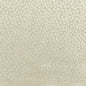 ADDRESS Stout Upholstery