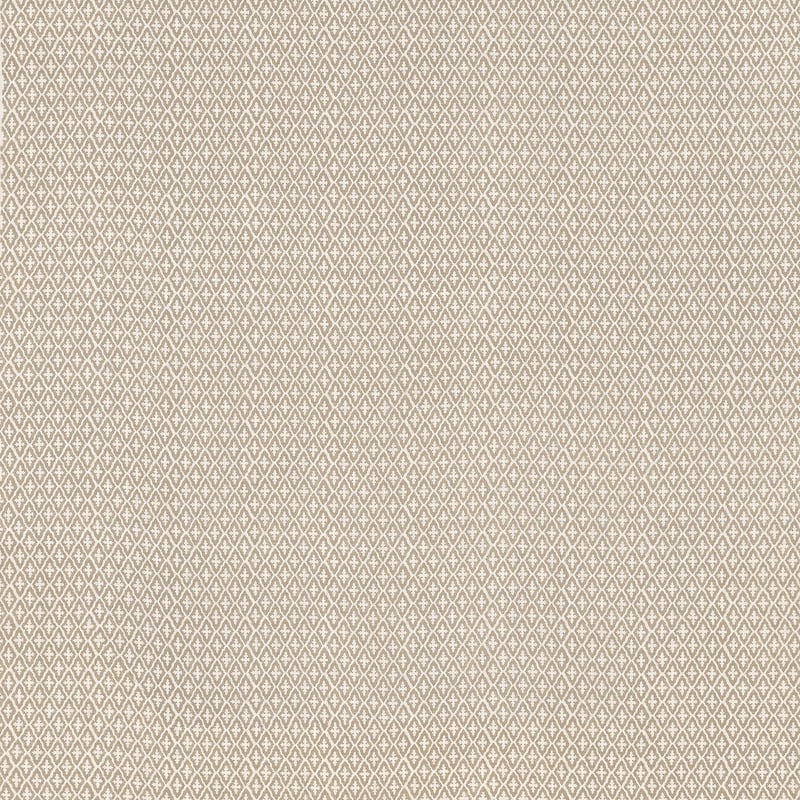 AF57809 Anna French Sand Fabric