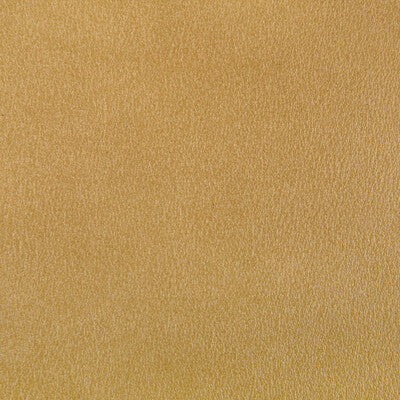 AGATHA-40 AGATHA GILT KRAVET CONTRACT UPHOLSTERY