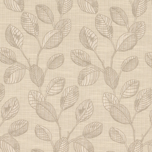 AIMEE Stout Drapery