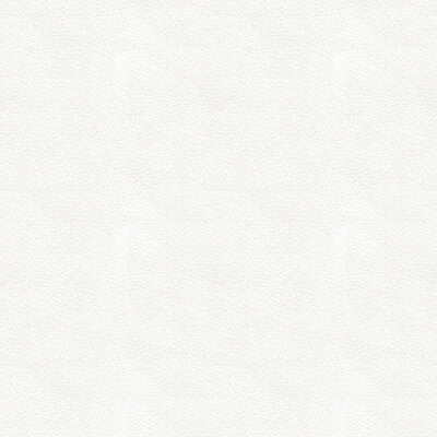 ALI-101 KRAVET DESIGN ALI-101 KRAVET DESIGN UPHOLSTERY