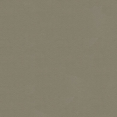 ALI-11 KRAVET DESIGN ALI-11 KRAVET DESIGN UPHOLSTERY