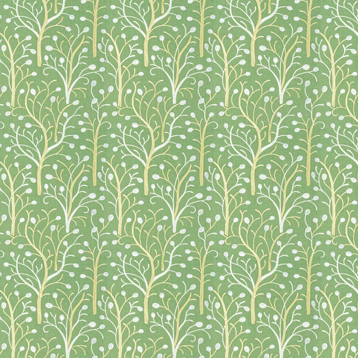 ALYS-2 STOUT ALYSSA 2 EVERGREEN EVERGREEN MULTIPURPOSE