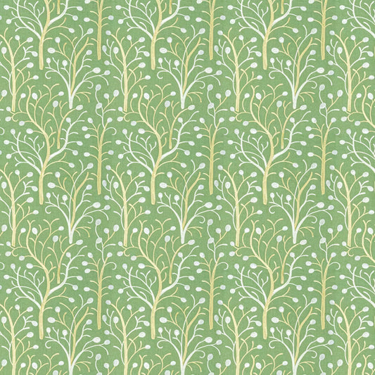 ALYS-2 STOUT ALYSSA 2 EVERGREEN EVERGREEN MULTIPURPOSE
