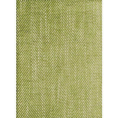 AM100147-3 SUMMIT PALM KRAVET COUTURE UPHOLSTERY