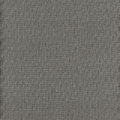 AM100346-21 BEAGLE TURTLE KRAVET COUTURE Fabrics Drapery Upholstery
