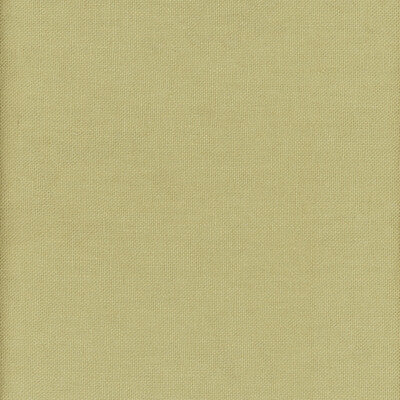 AM100346-3 BEAGLE FIREFLY KRAVET COUTURE Fabrics Drapery Upholstery