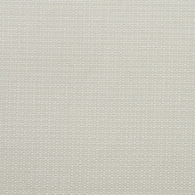 AM100390-1 BIRCH CHALK KRAVET COUTURE UPHOLSTERY