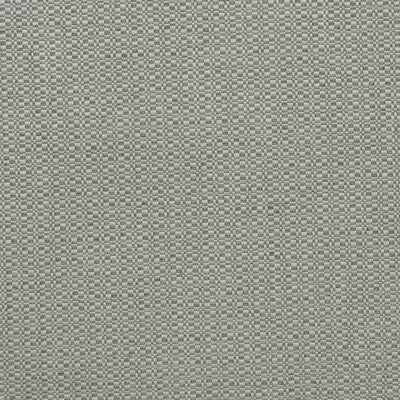 AM100390-11 BIRCH FOG KRAVET COUTURE UPHOLSTERY
