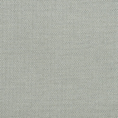 AM100391-1121 BIRDS FOOT STORM KRAVET COUTURE UPHOLSTERY