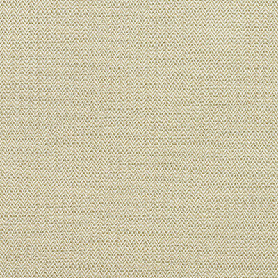 AM100391-624 BIRDS FOOT AUTUMN KRAVET COUTURE UPHOLSTERY