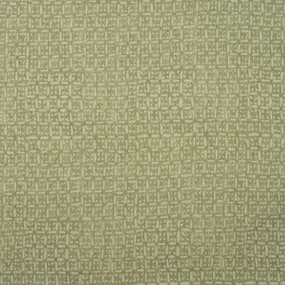 AM100397-3 NEST LICHEN KRAVET COUTURE Fabrics Drapery Upholstery