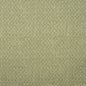 AM100397-3 NEST LICHEN KRAVET COUTURE Fabrics Drapery Upholstery