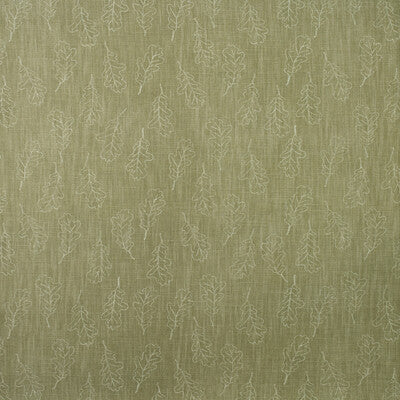 AM100398-3 NOBLE OAK LICHEN KRAVET COUTURE Fabrics Drapery Upholstery