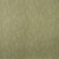 AM100398-3 NOBLE OAK LICHEN KRAVET COUTURE Fabrics Drapery Upholstery
