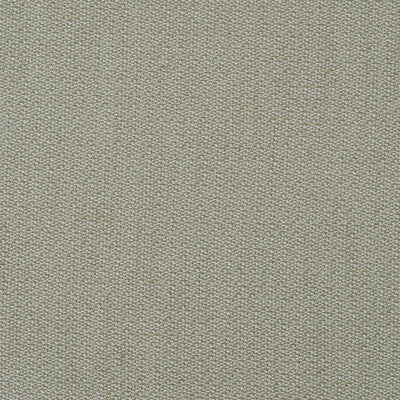 AM100431-3 RAVELLO LEAF KRAVET COUTURE UPHOLSTERY
