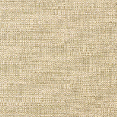 AM100436-16 TENDER ROPE KRAVET COUTURE UPHOLSTERY