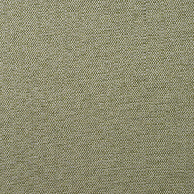 AM100438-316 JETTY REED KRAVET COUTURE UPHOLSTERY