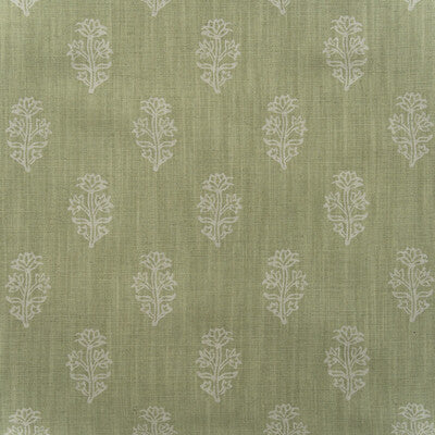 AM100445-123 BUTTERCUP FENNEL KRAVET COUTURE Fabrics Drapery Upholstery