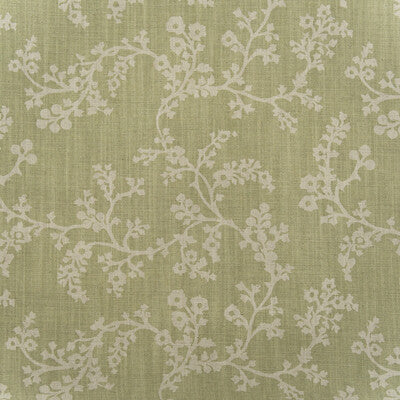 AM100451-123 VINE FENNEL KRAVET COUTURE Fabrics Drapery Upholstery