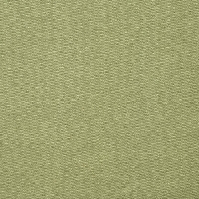 AM100452-123 ROCCO SAGE KRAVET COUTURE UPHOLSTERY