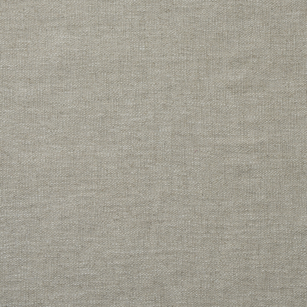 AM100461-16 SHUTTLE NATURAL KRAVET COUTURE Fabric