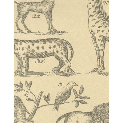 AMW10001-1611 ARK PARCHMENT KRAVET COUTURE Wallpaper