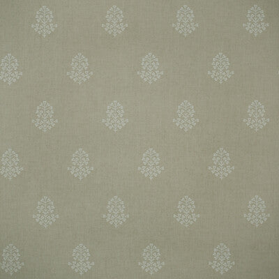 AMW10076-106 COW PARSLEY STONE KRAVET COUTURE Wallpaper