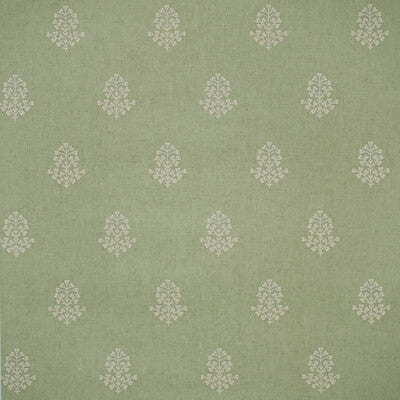 AMW10076-3 COW PARSLEY LEAF KRAVET COUTURE Wallpaper
