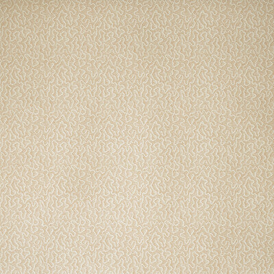 AMW10079-112 MOSS PLASTER KRAVET COUTURE Wallpaper