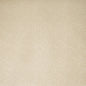 AMW10079-112 MOSS PLASTER KRAVET COUTURE Wallpaper