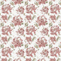 ANON-1 STOUT ANONYMOUS 1 PRIMROSE PRIMROSE MULTIPURPOSE