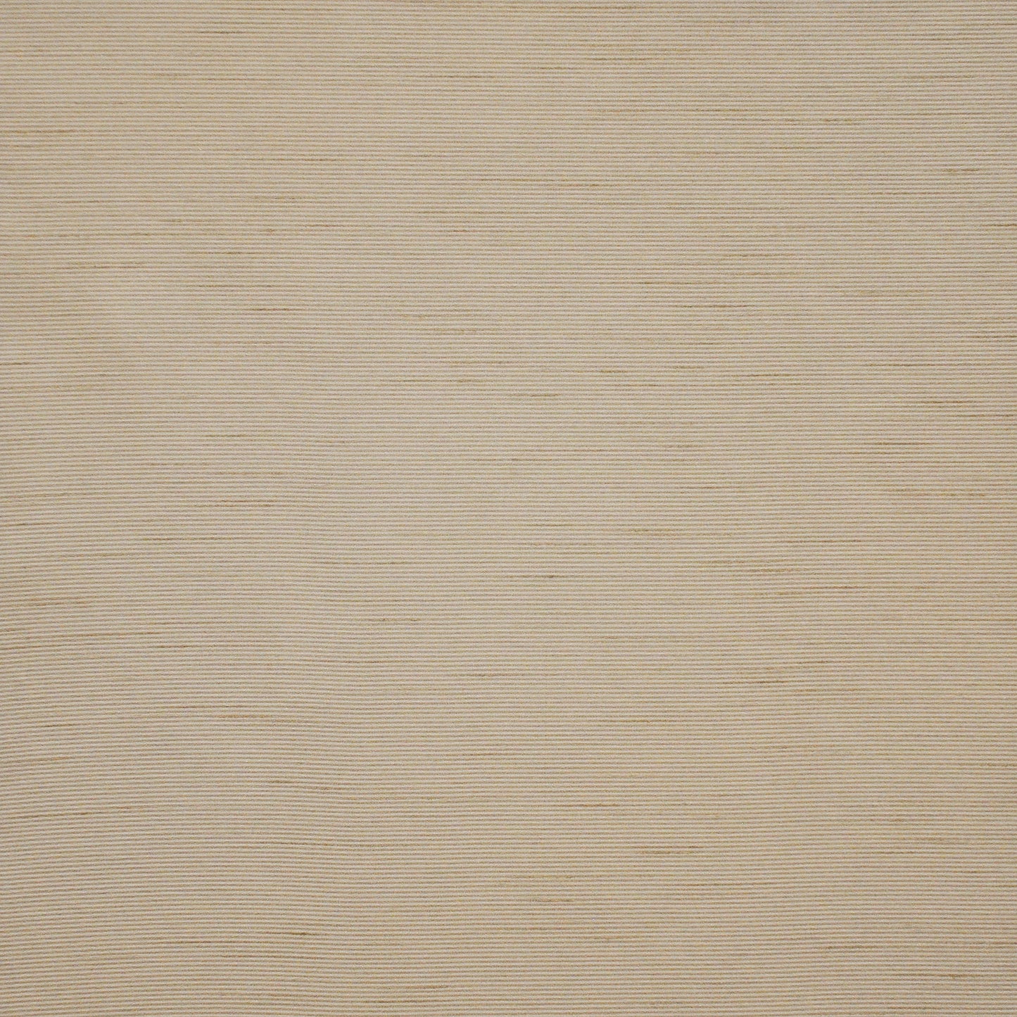 AP4561 Maxwell DRAPERY/MULTI- SOLID/TEXTURE # 561 ALMOND PURE&SIMPLEXII