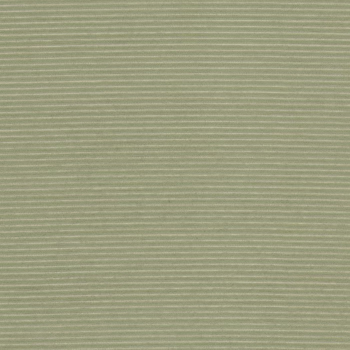 ARDM-2 STOUT ARDMORE 2 SAGE SAGE MULTIPURPOSE