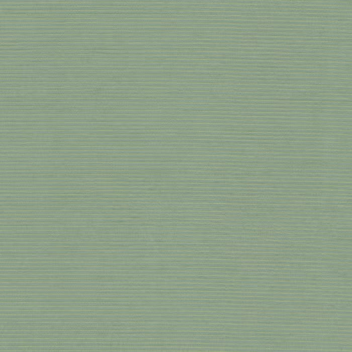 ARDM-6 STOUT ARDMORE 6 ALOE ALOE MULTIPURPOSE