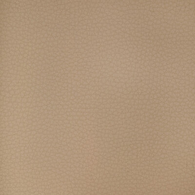 ARENI-1101 KRAVET DESIGN ARENI-1101 KRAVET DESIGN UPHOLSTERY