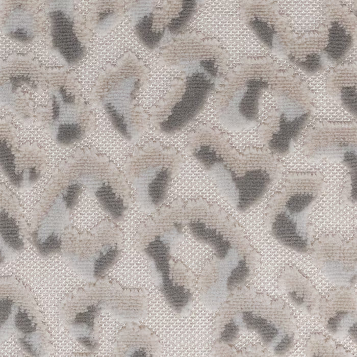 ARGU-1 STOUT ARGUS 1 DOVE DOVE UPHOLSTERY