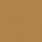 AS7617 Maxwell FABRIC # 617 BISCUIT MO-COATEDFABRICS