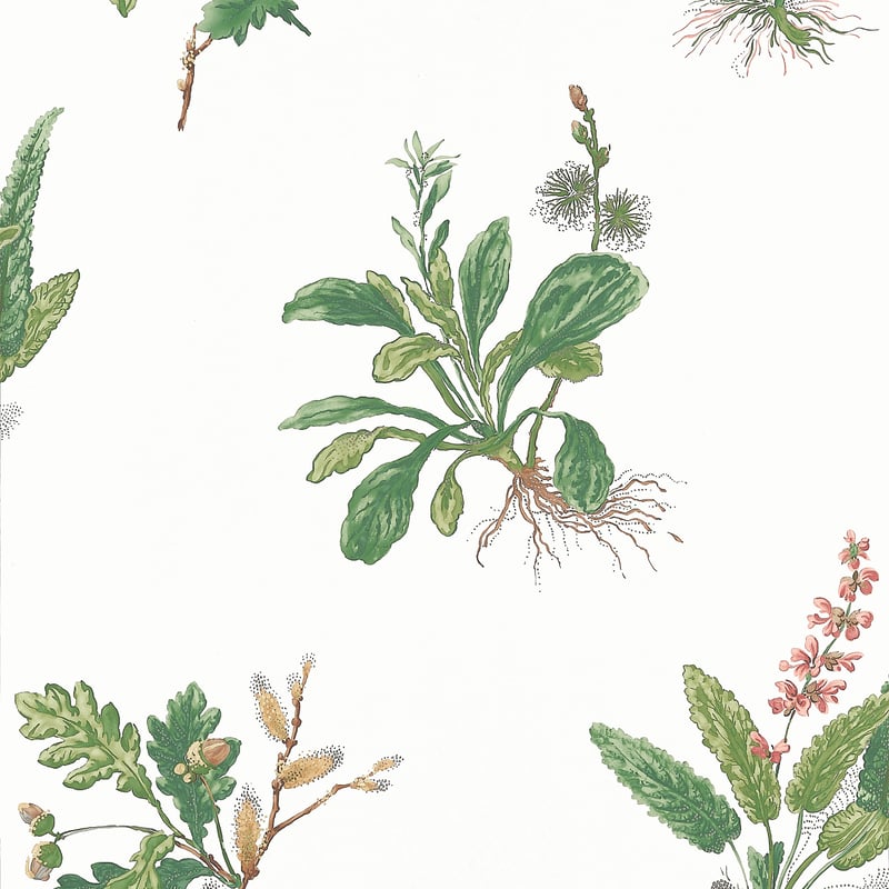 AT57852 Anna French Green and Blush Wallpaper