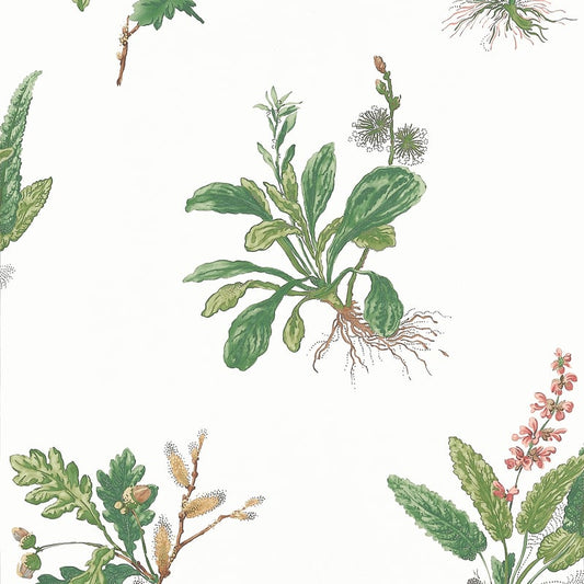 AT57852 Anna French Green and Blush Wallpaper