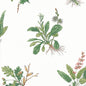 AT57852 Anna French Green and Blush Wallpaper
