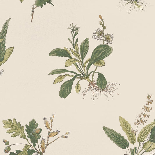 AT57853 Anna French Green on Natural Wallpaper