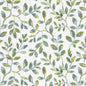 ATMO-1 STOUT ATMORE 1 AQUA AQUA MULTIPURPOSE