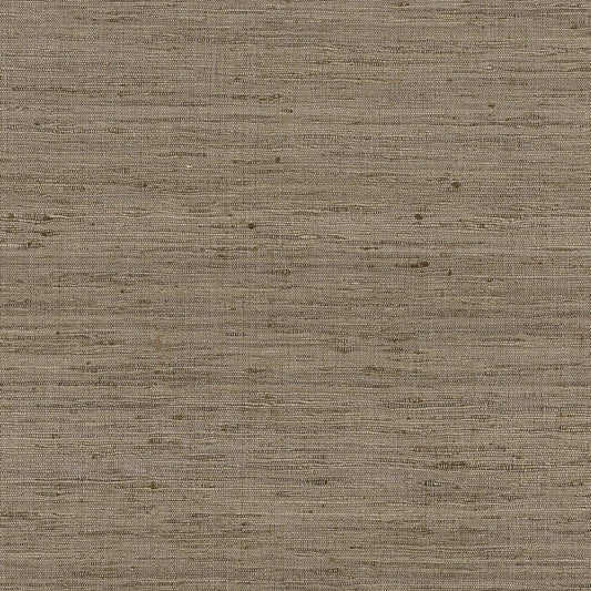 AW16117 Anna French Natural Fabric