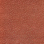AW9248 Anna French Paprika Fabric