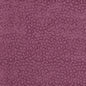 AW9249 Anna French Mulberry Fabric